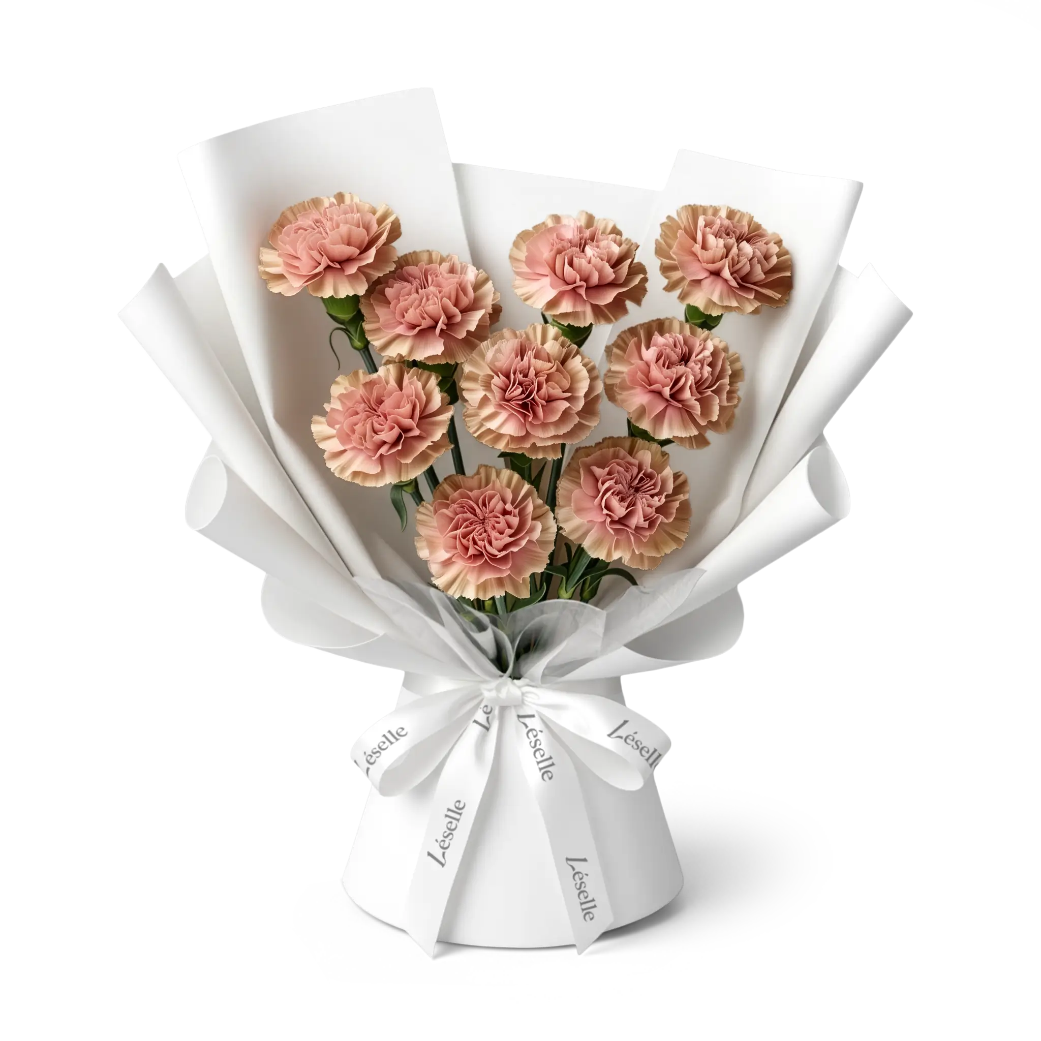 Bouquet of caramel carnations wrapped in white paper with a white ribbon on a transparent background